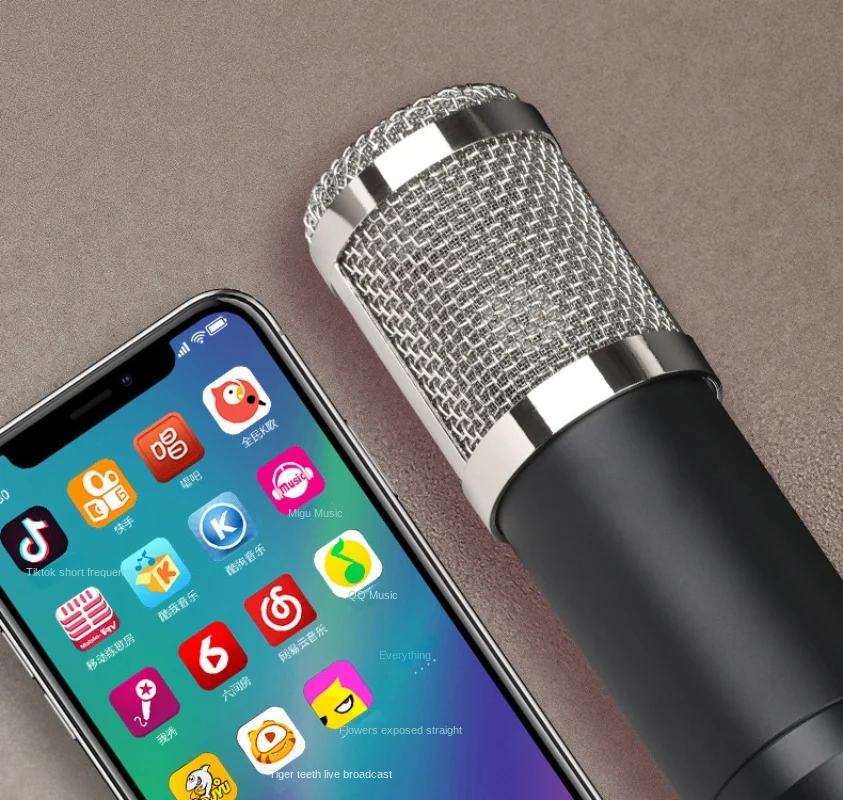 Kit microfono a condensatore B - Condenser Microphone Kit recensione e prezzo