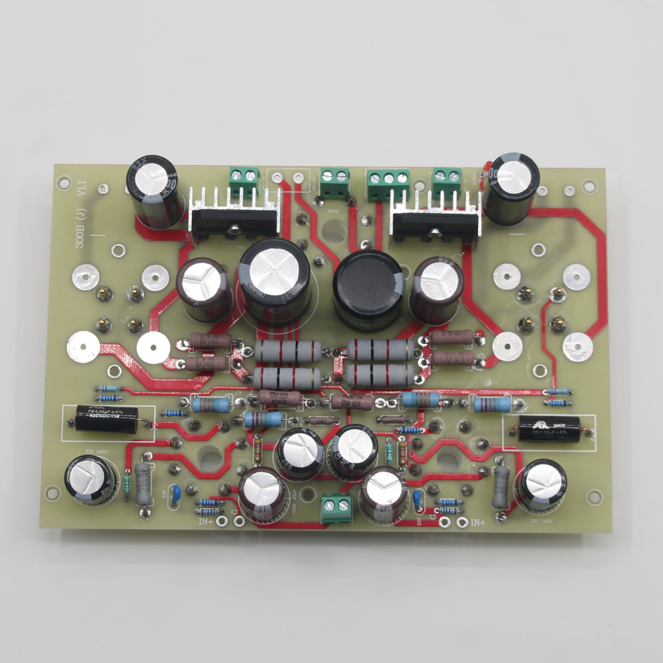 Scheda Amplificatore di Potenz - Hifi Amplifier Board recensione e prezzo