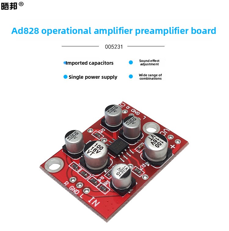 CHN 2027 Scheda amplificatore  - Audio Amplifier Board recensione e prezzo
