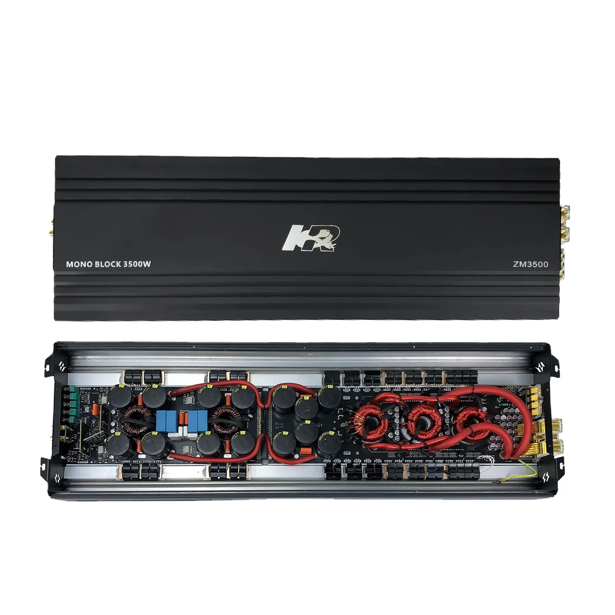 Amplificatore per Subwoofer Ze - Class D Amplifier recensione e prezzo