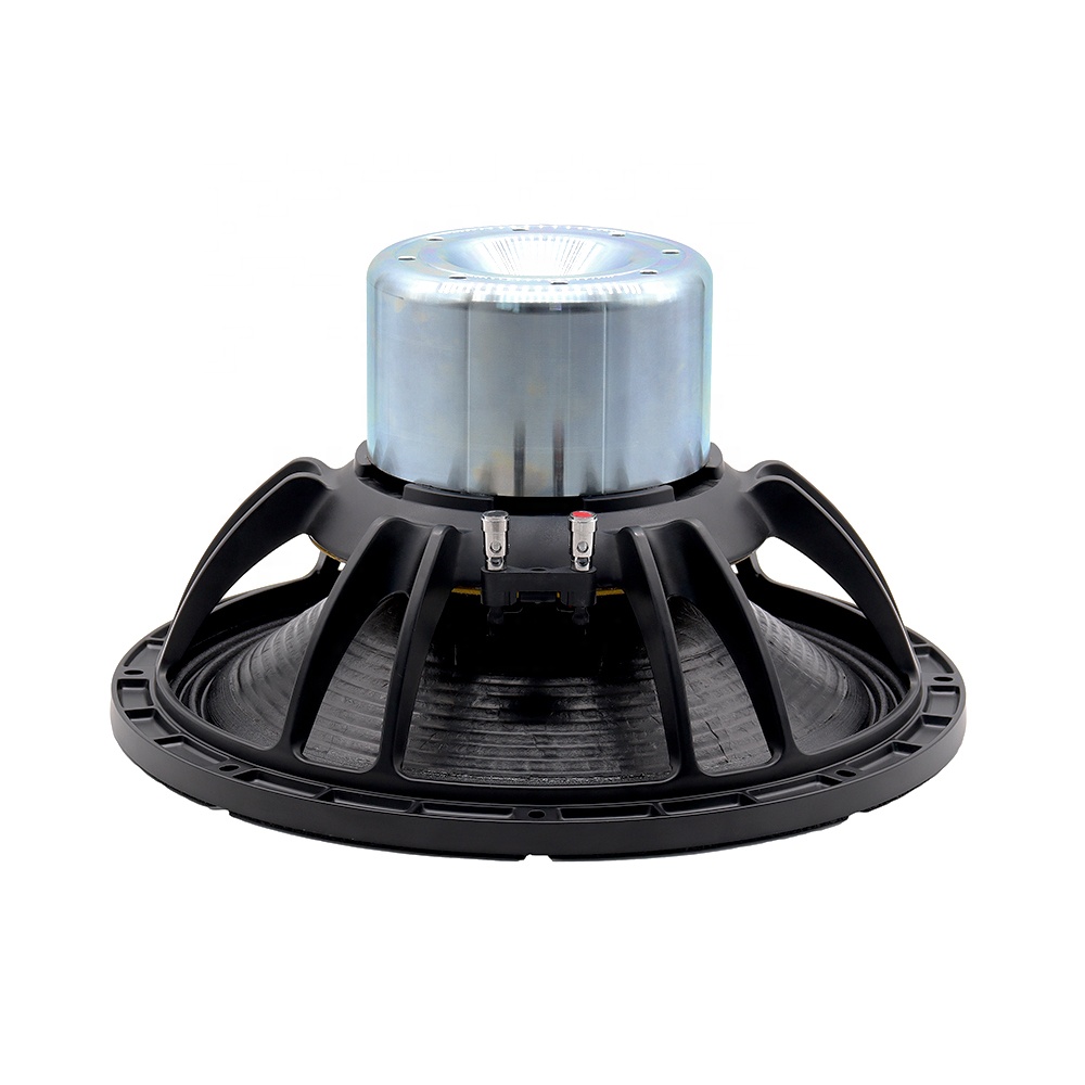 Nuovo Altoparlante Professiona - Subwoofer recensione e prezzo