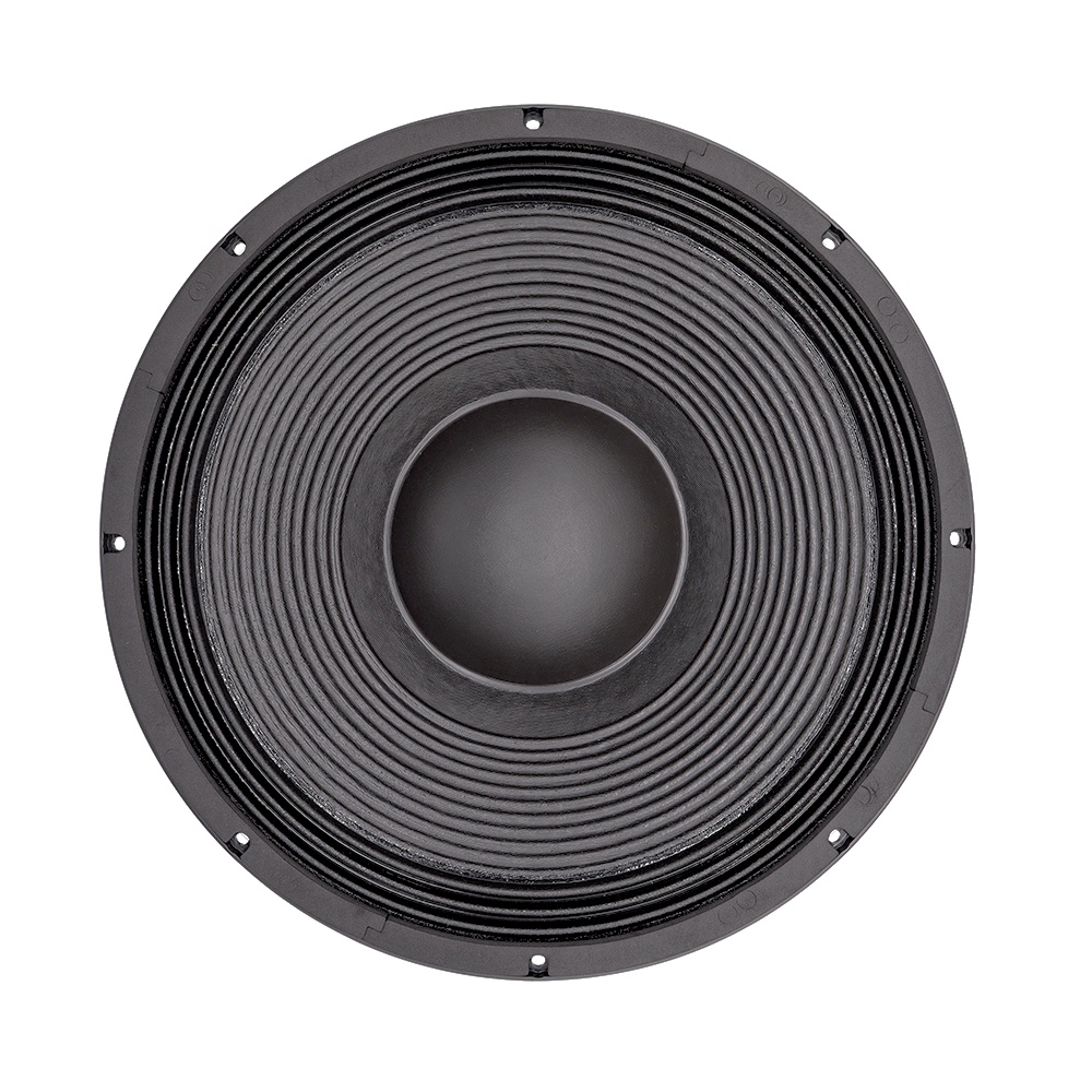 Sistema Audio Professionale da - Subwoofer recensione e prezzo