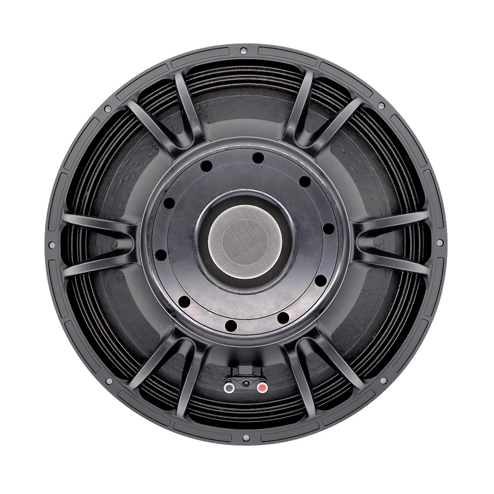 Sistema Audio Professionale da - Subwoofer recensione e prezzo