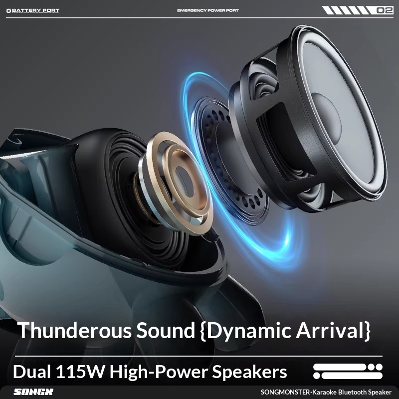 SONGX Audio Doppio Microfono D - Full Range Speaker recensione e prezzo