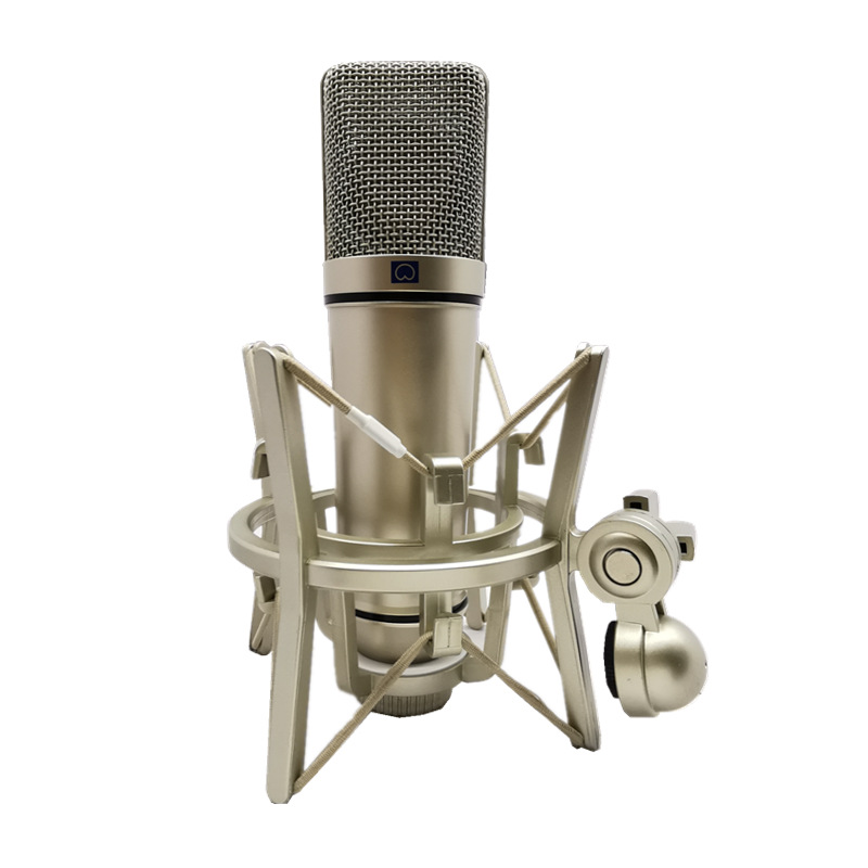 Microfono a Condensatore a Dia - Ribbon Microphone recensione e prezzo